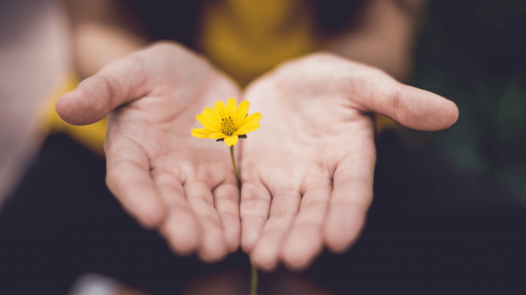 focus flower in blur background of hand