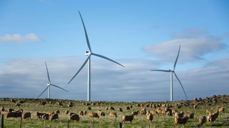 100% Renewable Electricity