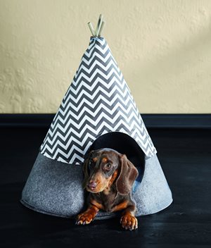 Dachshund in pet teepee