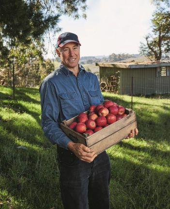 Local Apple Growers